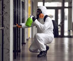 Reliable Blacksburg, SC Mold Removal Solutions